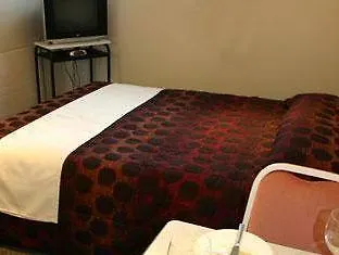 Ascot On Fenton Motel 4*